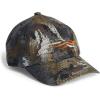 Waterfowl Timber